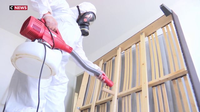 Les punaises de lit ont envahi les foyers français cet été