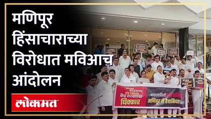 विधीमंडळाच्या पायऱ्यांवर गाजला मणिपूरचा मुद्दा, महा विकास घडीचे नेते आक्रमक