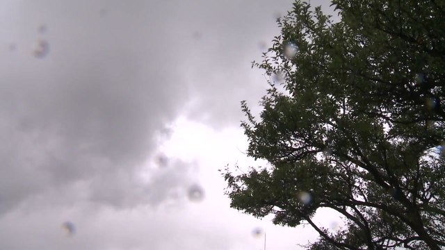 [날씨] 오늘 '중복', 찜통더위 기승...주말 다시 전국 장맛비 / YTN