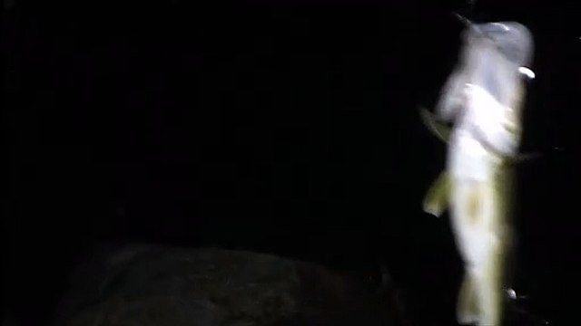 MCH 404 NIGHT FISHING AT DICK SON DAM CATCHING THE BIG ONES IN THE BRIGHT MOONLIGHT WITH THE HEADLIGHTS ON FISHING HOOKS LINE AND SINKER BRAIDED OR MONO .