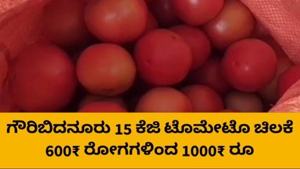 ಗೌರಿಬಿದನೂರು: ಟೊಮೇಟೊ ಬೆಲೆ ಏರಿಕೆ; ಗ್ರಾಹಕರು ಕಂಗಾಲು