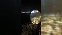 Kadıköy-Beşiktaş seferinde korku dolu anlar! Bir yolcu vapurdan atladı