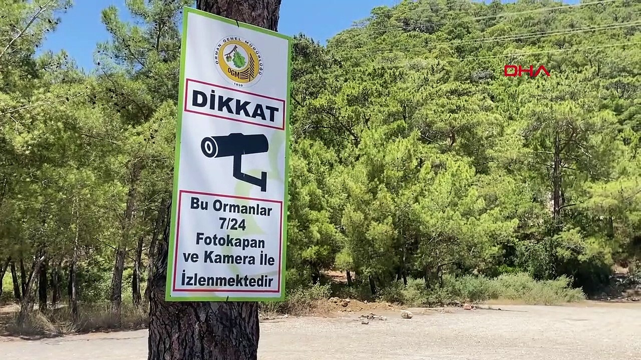 Antalya'da Orman Yangını Tehlikesi: Yasaklara R...