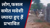 पूर्णिया: नेपाल की ओर से आने वाली बाढ़ का पानी से शहर के लोग भी हुए प्रभावित
