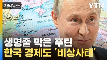 [자막뉴스] 손에 피 안 묻히고...전 세계 말려죽이려는 푸틴 / YTN