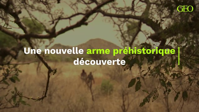 La découverte d'une arme ancestrale nous dévoile des informations sur les premiers hommes