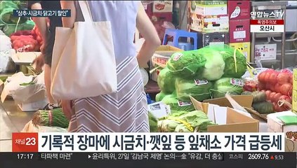 폭우에 값 뛰는 먹거리…닭고기 무관세·상추도 할인