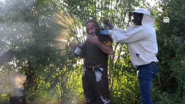 Arı Adam ın Guinness Rekorlar Kitabı hayaline ramak kaldı