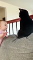 the end ---- _funnyvideo _funnyvideos _funnymoments _fun _socute _cute _mignon _baby _bébé _babies _babiesoftiktok _babyfever _babylove _babydance _babydancer _babydancers _foryou _foryoupage  - Copy