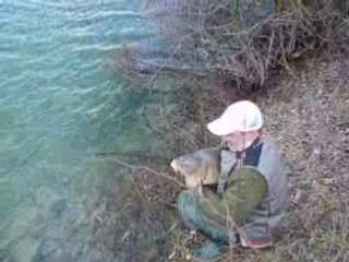 superbe carpe de 11 kg