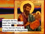 Evangelio del Día, según San Mateo 12, 1-8 - P. Fray Germán Pravia, op (21/07/2023)
