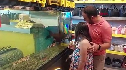 33'lük 'Dadaş Pirana' cağ kebaplı doğum günü partisi