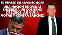 Alfonso Rojo: “Una nación de ovejas engendra un Gobierno de lobos, así que a votar y contra Sánchez”