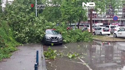 Video herunterladen: Wetterextreme: Sturm wütet auf dem Balkan und hinterlässt sechs Tote