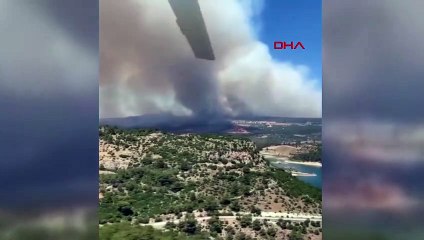 295 incendies de forêt se sont déclarés en 20 jours ; 3 mille 160 hectares de terres ont été endommagés