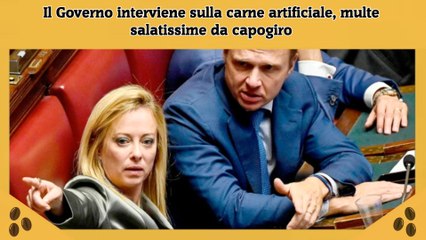 Il Governo interviene sulla carne artificiale, multe salatissime da capogiro