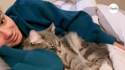 Elle voulait absolument que son chat devienne câlin : elle a imaginé une routine pour le rendre accro !