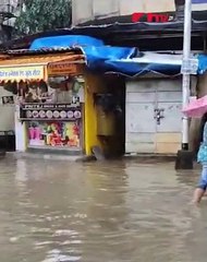सायन सर्कलमध्ये पाणीच पाणी, साचलेल्या पाण्यातून प्रवास_1