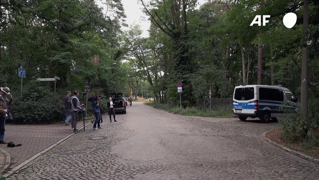 Vermeintliche Raubkatze im Raum Berlin war wohl ein Schwein