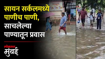 Video herunterladen: मुसळधार पावसामुळे सायन सर्कलमध्ये साचलं पाणी