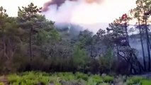 Feu de forêt en Tunisie： 470 hectares réduits en cendres
