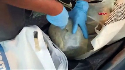 27 kilos de marijuana saisis lors d'une recherche avec le chien narcotique Barbara à Adana