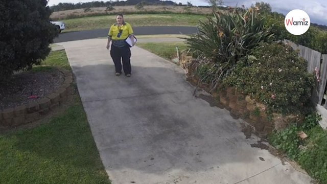 Watch CCTV captures horrifying moment council worker tries to steal family pet
