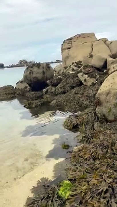 Hier ist mein neuestes Video