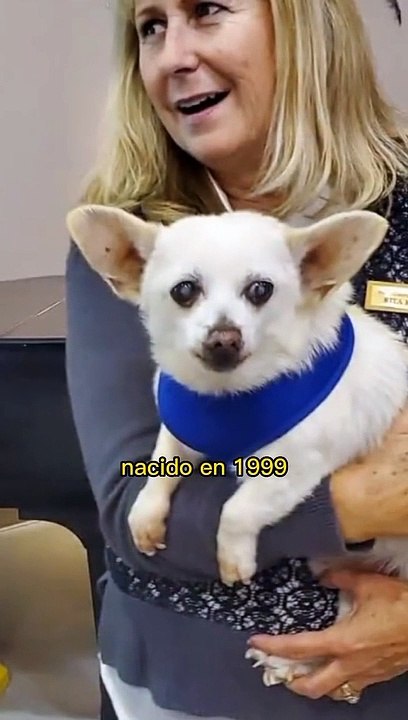 Spike el perro más viejo del mundo