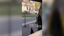 Watch: Rampaging goose terrorises students on a university campus