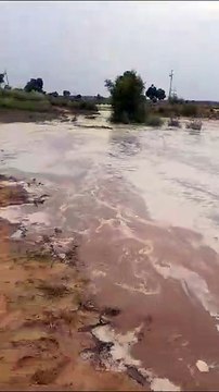 Many records of Ghagghar were broken in Hanumangarh, GDC's bond was broken, even the contact of villages, thousands of bighas of land were submerged