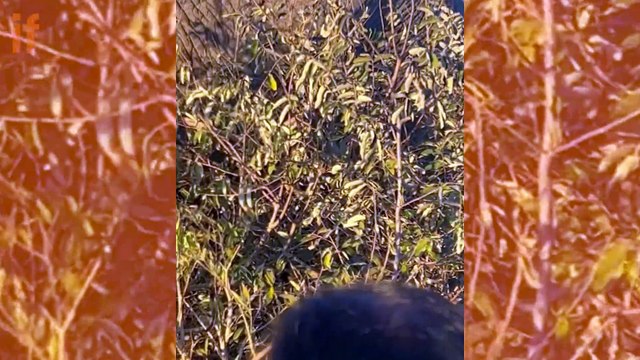 Regina Casé curte férias com a família na África