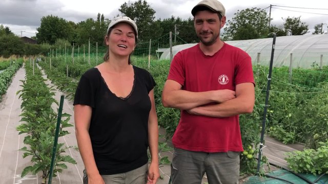 Maraîchage bio à la Ferme de la Pionnière à La Peyratte