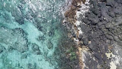 Life and Martyrdom of Hazrat Umar bin Al-Khattab