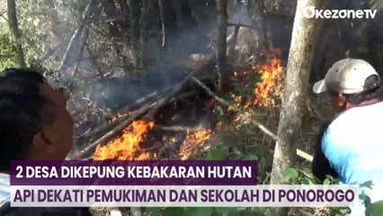 2 Desa Dikepung Kebakaran Hutan, Api Dekati Pemukiman dan Sekolah di Ponorogo