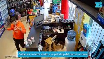 Golpes en un feroz asalto a un pet shop del barrio La Loma