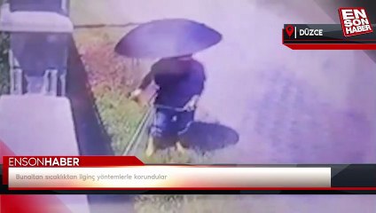 Bunaltan sıcaklıktan ilginç yöntemlerle korundular