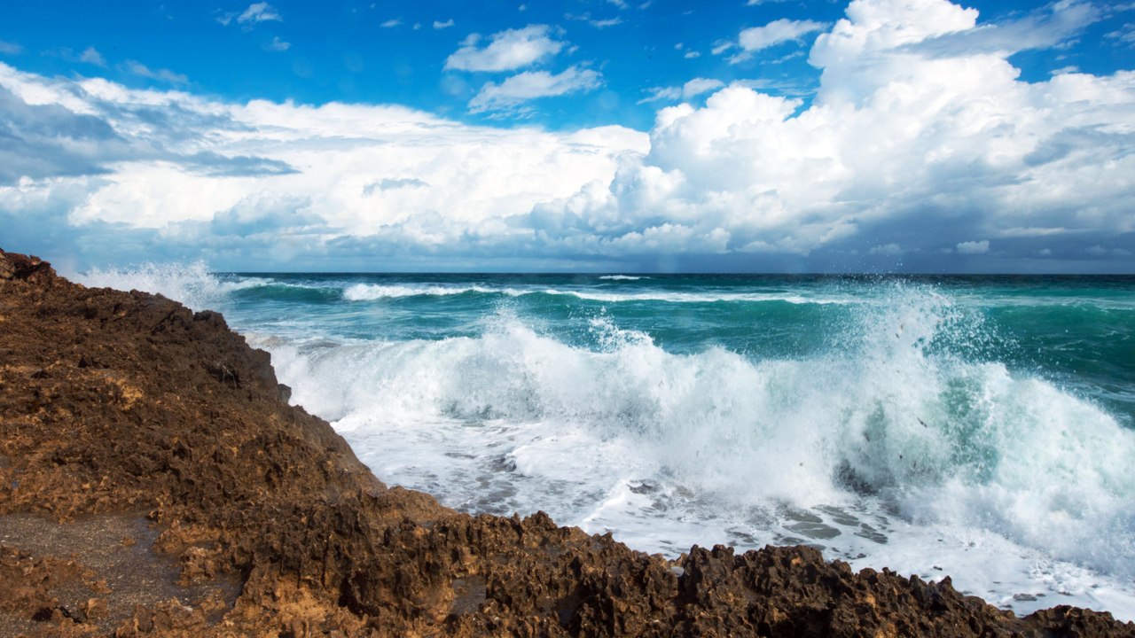 The Best Things To Do In Fort Pierce, Florida