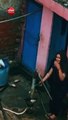Seema Haider Video: सीमा हैदर का बाथरूम से बाहर निकलते वीडियो वायरल, कैमरा देख पकड़ लिया सिर