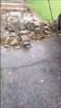 Maltempo in Brianza, crolla il muro del campo da calcio di Ornago