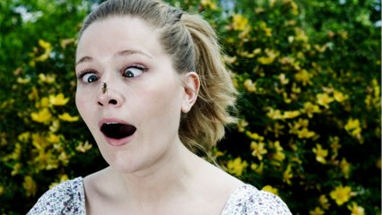 Comment faire fuir les guêpes ?