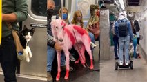 Strangest ANIMAL Encounters On NEW YORK Subway!