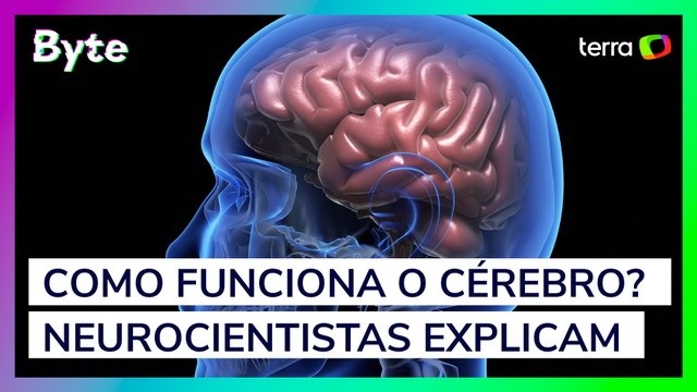 Como funciona o cérebro? Neurocientistas explicam