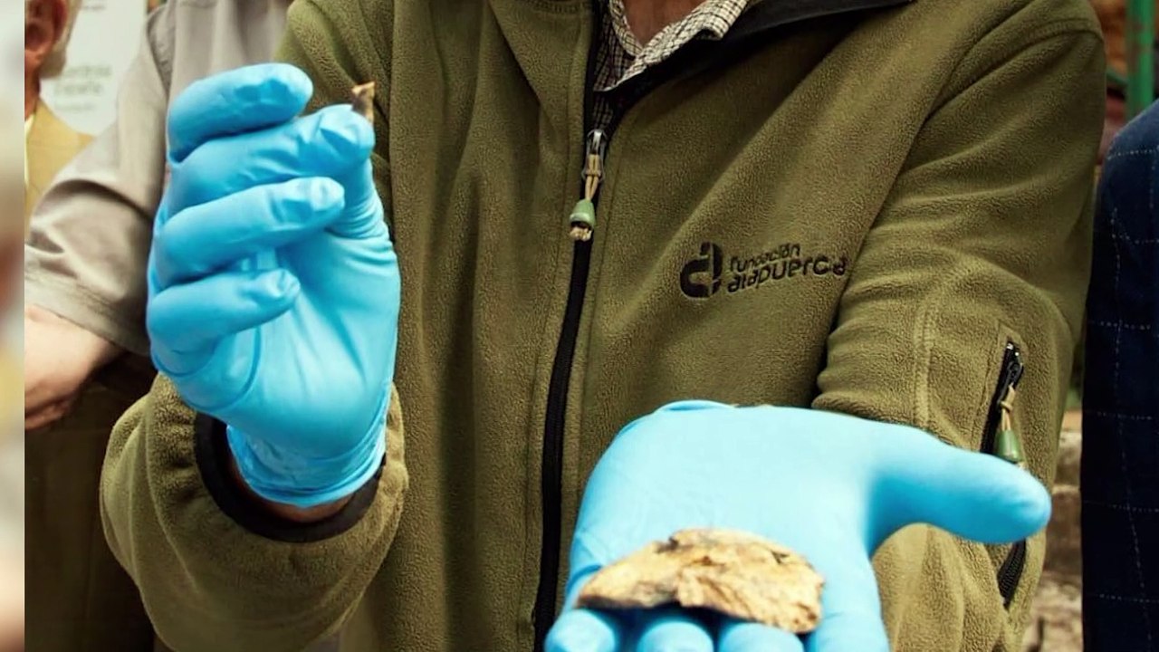 Atapuerca concluye su campaña de verano con augurando un 2024 lleno de "hallazgos"