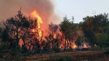 Türkiye, Yunanistan'a yangın söndürme uçakları ve helikopter gönderecek