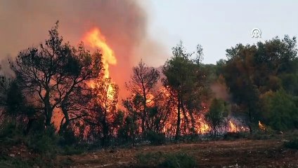 La Turquie va envoyer des avions et des hélicoptères de lutte contre les incendies en Grèce