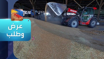 الساعة 60 | بوتين يعتزم منح القمح والأسمدة مجاناً لهذه الدول