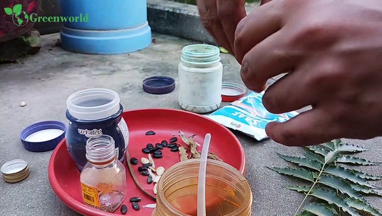 বীজ সংরক্ষণের সহজ এবং ঘরোয়া পদ্ধতি ।। Seed Preservation Method