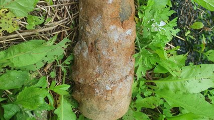 인천 공사 현장에서 불발탄 발견..."폭발 위험성 낮아" / YTN