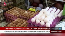 Tayvan'a ihraç edilen Türk yumurtalarında kanserojen madde mi var? Bakanlık konuyla ilgili inceleme başlattı